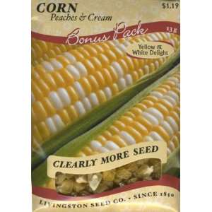 Sweet Corn   Peaches & Cream Mid (W & Y)
