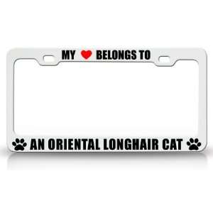   LONG HAIR Cat Pet Auto License Plate Frame Tag Holder, White/Black