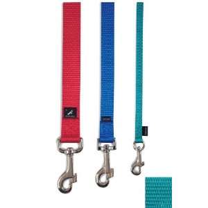  Premier Nylon Leash 1 in x 4 Ft, Ice Blue