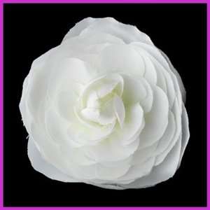  White Buttercup Style Flower Hair Clip: Health & Personal 