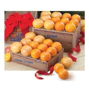 Navel Oranges and Ruby Red Grapefruit 1 tray  Grocery 