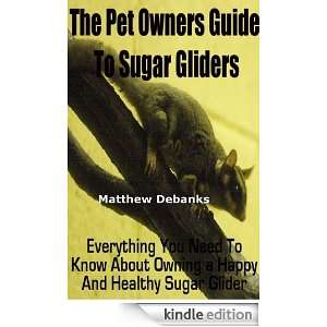 The Pet Owners Guide to Sugar GlidersEverything You Need To Know 