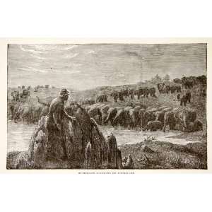  1884 Wood Engraving Gondokoro Sudan Africa Savanna Hunter 