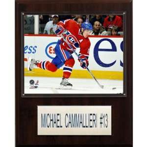  NHL Mike Cammalleri Montreal Canadiens Player Plaque