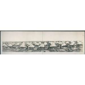   Panoramic Reprint of Camp Wilson, San Antonio, Texas: Home & Kitchen