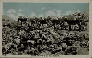 Original, circa 1915 postcard showing a pack of burros carrying copper 