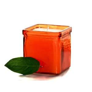  Orange Soy Cande   Recycled Glass Container: Home 