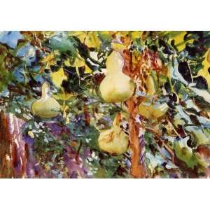 Oil Painting: Gourds: John Singer Sargent Hand Painted Art:  