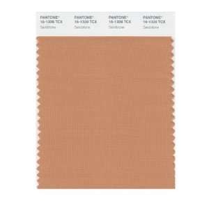 PANTONE SMART 16 1328X Color Swatch Card, Sandstone: Home 