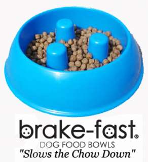 BREAK FAST DOG FOOD BOWL Dish Slow Eating Breakfast New  