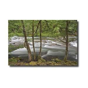  Clackamas River I Giclee Print