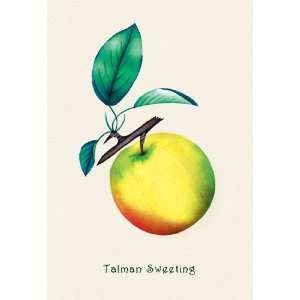  Talman Sweeting 20X30 Canvas Giclee