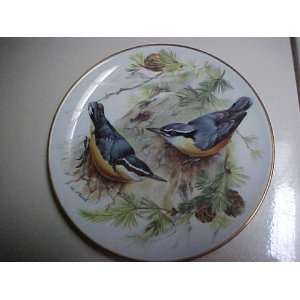  Corsican Nuthatch Collector Plate: Everything Else
