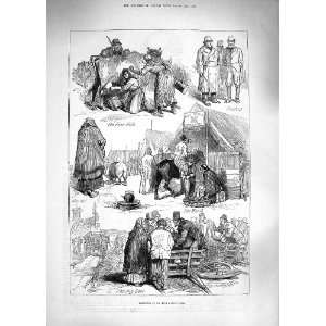  1881 IRELAND CATTLE FAIR MILK DEALERS PIG SALE ANIMALS