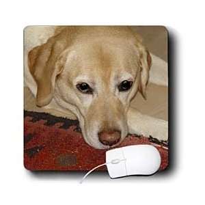  Florene Dog   Happy Lab   Mouse Pads Electronics