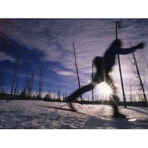  Silhouette of Of Women Cross County Skiing in Wyoming 