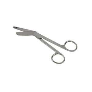   Scissors Stainless Steel 5 1/2 Inches without Clip Health & Personal