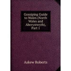   Guide to Wales North Wales and Aberystwyth Askew Roberts Books