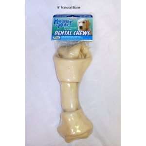  Salix Dental Bone 9 Inch