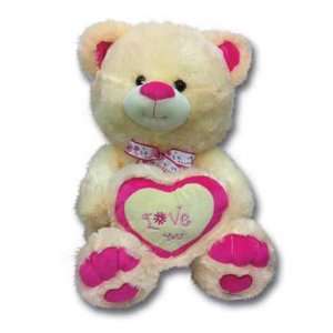  Plush in a Rush Pink 16 Valentine Teddy Bears Everything 