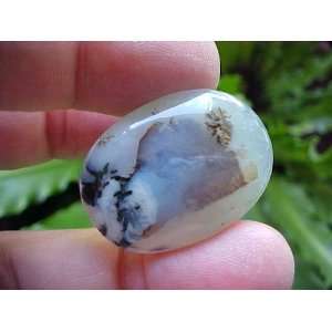  Zs5106 Gemqz Dendritic Agate Loose Oval Cabochon Large 