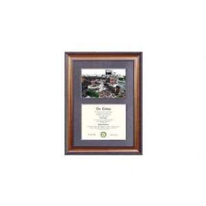  Florida Gators Suede Mat Diploma Frame with Lithograph 