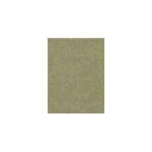  STROHEIM COLOR GALLERY PLATINUM/ IVORY Wallpaper  8602E 