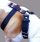   Quality Leather Walking Dog Harness 26 30 1.5 wide Straps Pitbull