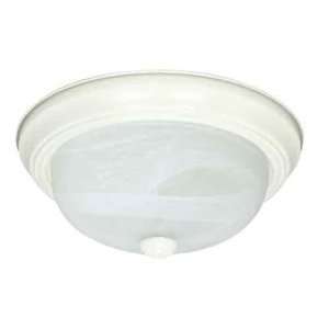   Nuvo 60/221 2 Light Textured White Close to Ceiling: Home Improvement