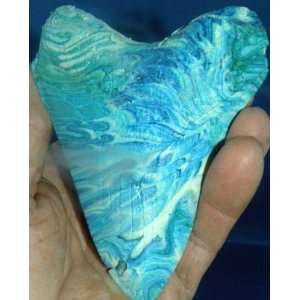  4 1/2  Marbled Megalodon Marbled Tooth Replica 