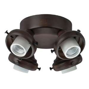   Light Fitter With Integrated Switch Housing 4 Light Fan Light Kits in