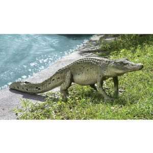  Xoticbrands 50w Large Crocodile Alligator Wildlife Home 