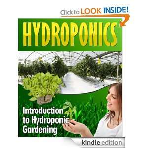   The Mess And Hassle Of Soil With Hydroponics, The Future Of Gardening
