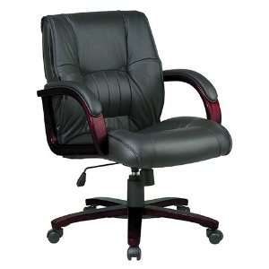   Chair with Mahogany Finish Wood Base and Padded Arms: Office Products