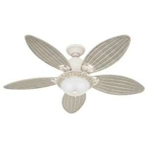 Caribbean Breeze Ceiling Fan by Hunter Fans : R098169 Finish and Blade 