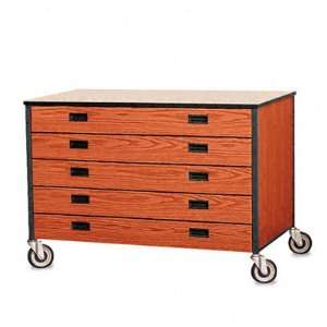  Fleetwood Mobile 5 Drawer Cabinet, Adjustable Shelf, 48 x 