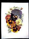   REAL PRESSED FLOWERS & LEAVES UNCUT PICTURES Ready To Frame, Free Ship