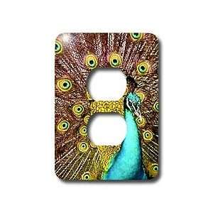  Birds   Colorful Peacock   Light Switch Covers   2 plug 