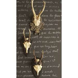 Hunt Club Antler Trophy Reproductions Set:  Home & Kitchen