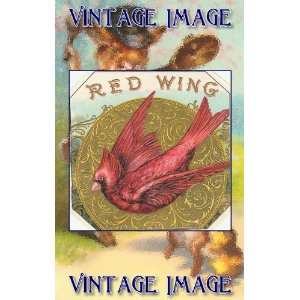  5cm) Acrylic Fridge Magnet Bird Red Wing Vintage Image: Home & Kitchen