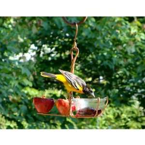  Fruit and Jelly Feeder (Bird Feeders) (Fruit and Jelly 