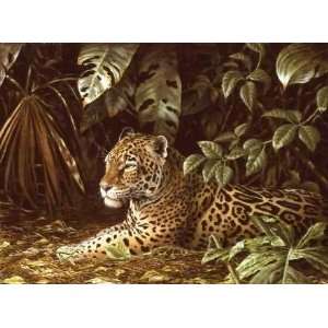  Guy Coheleach   Jungle Cover Jaguar: Home & Kitchen