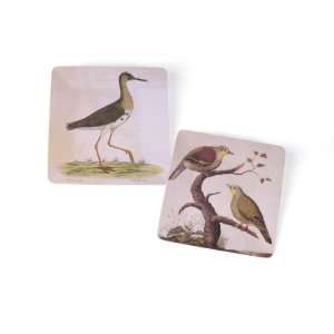  Pack of 6 Stunning Wild Life Bird Acrylic Square 