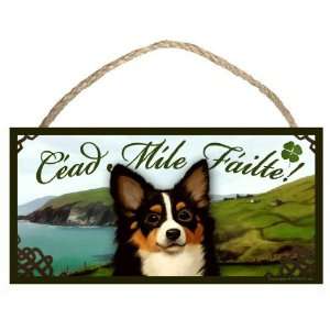  Long Hair Chihuahua Dog Irish Welcome Sign / Plaque Céad 