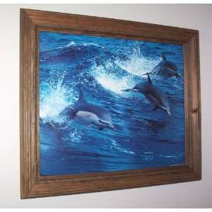  Three Dolphins Picture Print in Rope trimmed Pine Wood 