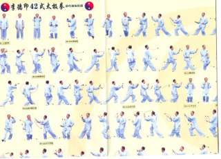 2VCD DVD+ Free Chart 42 Tai Chi Course by Li Deyin New  
