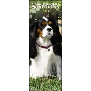   King Charles Spaniels 2011 Slimline Wall Calendar: Office Products