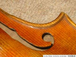 old violin very high arched, Mathias Thier Vienna  