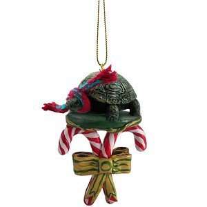  Turtle Candy Cane Christmas Ornament: Home & Kitchen