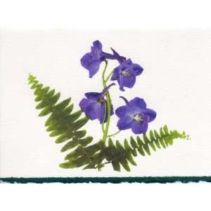   Greeting Card or Note Card   July Flower Larkspur 